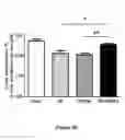 Fig. 09 - Materials and Methods for Rescue of Ischemic Tissue and Regeneration of Tissue Integrity During Resection, Engraftment and Transplantation