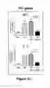 Fig. 12 - Materials and Methods for Rescue of Ischemic Tissue and Regeneration of Tissue Integrity During Resection, Engraftment and Transplantation