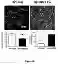 Fig. 16 - Materials and Methods for Rescue of Ischemic Tissue and Regeneration of Tissue Integrity During Resection, Engraftment and Transplantation