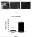 Fig. 26 - Materials and Methods for Rescue of Ischemic Tissue and Regeneration of Tissue Integrity During Resection, Engraftment and Transplantation
