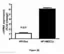 Fig. 27 - Materials and Methods for Rescue of Ischemic Tissue and Regeneration of Tissue Integrity During Resection, Engraftment and Transplantation