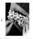 Fig. 06 - BONE DEFECT FILLING MATERIAL, AND PRODUCTION METHOD THEREFOR