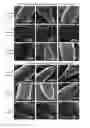 Fig. 10 - Formulations for Tailored Drug Release