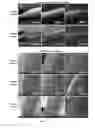 Fig. 18 - Formulations for Tailored Drug Release