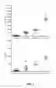 Fig. 04 - METHODS FOR THE TREATMENT OR PREVENTION OF SYSTEMIC SCLEROSIS
