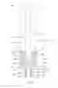 Fig. 03 - Atomizer, atomizing assembly and inhaler
