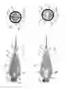 Fig. 23 - Needle for bloodless IV