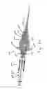 Fig. 33 - Needle for bloodless IV