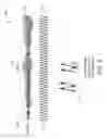 Fig. 05 - Systems and methods for correlating measurements in neurostimulation systems