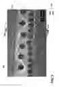 Fig. 04 - PHOTOTHERAPY TEXTILE WRAPPER