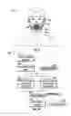 Fig. 09 - Air filtering devices and methods