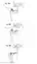 Fig. 40 - Portable full-body workout system and method of using same