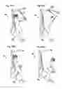 Fig. 46 - Portable full-body workout system and method of using same