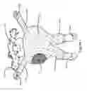 Fig. 02 - Multi-Functional Children's Accessories
