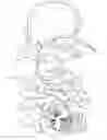 Fig. 01 - FLOWER DOLL