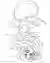 Fig. 06 - FLOWER DOLL
