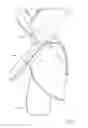 Fig. 09 - FLOWER DOLL