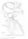 Fig. 15 - FLOWER DOLL