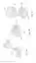 Fig. 05 - Building block