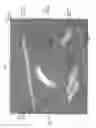 Fig. 08 - Wall adaptor for filter underdrain