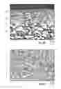 Fig. 03 - INORGANIC MEMBRANE FILTER AND METHODS THEREOF