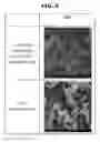 Fig. 06 - DEVICE FOR PRODUCING POLYMER DISPERSION SOLUTION OF CORE-SHELL STRUCTURED SILICON NANOPARTICLES
