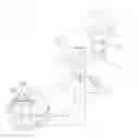 Fig. 01 - Photocatalytic reaction system