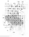 Fig. 02 - Packing layer for structured packing