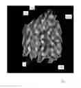 Fig. 11 - Packing layer for structured packing