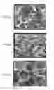 Fig. 02 - REDUCED GRAPHENE OXIDE COMPOSITE MATERIAL