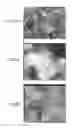 Fig. 03 - REDUCED GRAPHENE OXIDE COMPOSITE MATERIAL