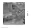 Fig. 02 - MIDDLE DISTILLATE HYDROCRACKING CATALYST CONTAINING HIGHLY NANOPOROUS STABILIZED Y ZEOLITE