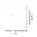 Fig. 14 - Hydrogenation and disproportionation catalysis