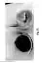 Fig. 29 - Hydrogenation and disproportionation catalysis