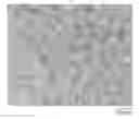 Fig. 01 - Crosslinked poly(vinyl alcohol) and silica nanoparticle multilayer coatings and methods