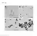 Fig. 05 - Method for preparing metal nanoparticles using a multi-functional polymer and a reducing agent