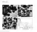 Fig. 14 - Method for preparing metal nanoparticles using a multi-functional polymer and a reducing agent