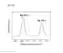 Fig. 17 - Method for preparing metal nanoparticles using a multi-functional polymer and a reducing agent