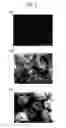 Fig. 03 - Method for manufacturing silver particles
