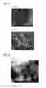 Fig. 06 - Method for manufacturing silver particles