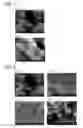 Fig. 07 - Method for manufacturing silver particles