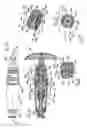 Fig. 28 - Variable gear ratio ratchet
