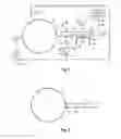 Fig. 02 - Method and apparatus to test an automatic stop safety feature of a rotary saw