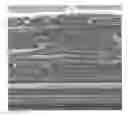 Fig. 01 - Pore initiation technique