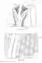 Fig. 25 - Methods and apparatus for hygromorphic shape control