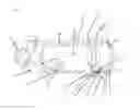 Fig. 03 - Apparatus and method for the insertion of films in tablet presses