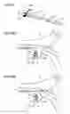 Fig. 19 - Image forming apparatus including switching member