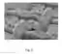 Fig. 07 - STRUCTURE AND STENCIL PRINTING PLATE WHICH HAVE BEEN SUBJECTED TO WETTABILITY-IMPROVING SURFACE MODIFICATION, AND PROCESSES FOR PRODUCING BOTH