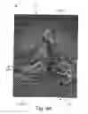 Fig. 20 - Printed security feature, object comprising such a printed security feature, and process of producing the same