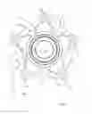 Fig. 07 - Bearing component with composite flange
